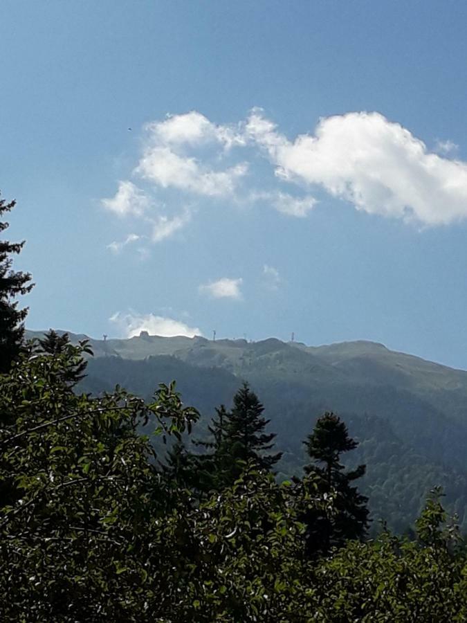 Lanobila Sinaia Exterior foto